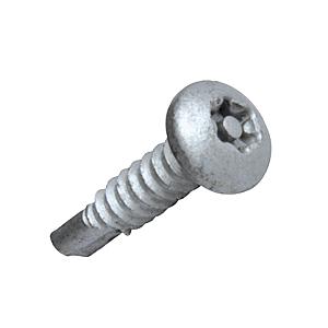 4.8 x 19mm Pan Resistorx T25 Self Drill Screw, Delta Protekt Coated Steel